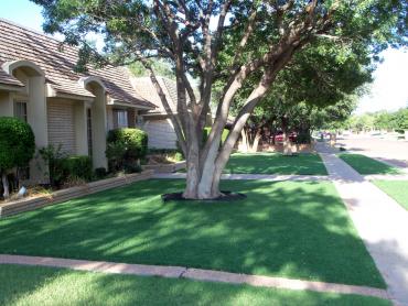 Artificial Grass Photos: Fake Pet Turf Santa Paula California Lawns